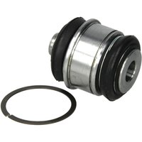 Lagerung, Querlenker DELPHI TD551W von Delphi