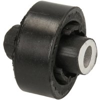 Lagerung, Querlenker DELPHI TD359W von Delphi