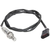 Lambdasonde DELPHI ES20238-12B1 Lambdasonde DELPHI ES20238-12B1 von Delphi