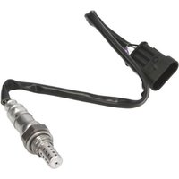 Lambdasonde DELPHI ES20344-12B1 Lambdasonde DELPHI ES20344-12B1 von Delphi