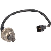 Lambdasonde DELPHI ES21125-12B1 Lambdasonde DELPHI ES21125-12B1 von Delphi