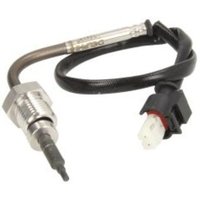 Sensor, Abgastemperatur DELPHI TS30058 Sensor, Abgastemperatur DELPHI TS30058 von Delphi