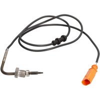 Sensor, Abgastemperatur DELPHI TS30144 von Delphi