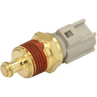 Sensor, Kühlmitteltemperatur DELPHI TS10294 Sensor, Kühlmitteltemperatur DELPHI TS10294 von Delphi