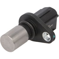 Steuerwellesensor DELPHI SS12356-12B1 Steuerwellesensor DELPHI SS12356-12B1 von Delphi