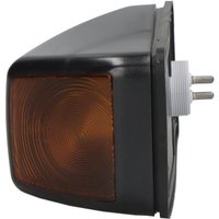 Blinkleuchte DEPO 551-1406N-AE Blinkleuchte DEPO 551-1406N-AE von Depo