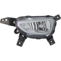 Nebelscheinwerfer DEPO 221-2057R-UE Nebelscheinwerfer DEPO 221-2057R-UE von Depo