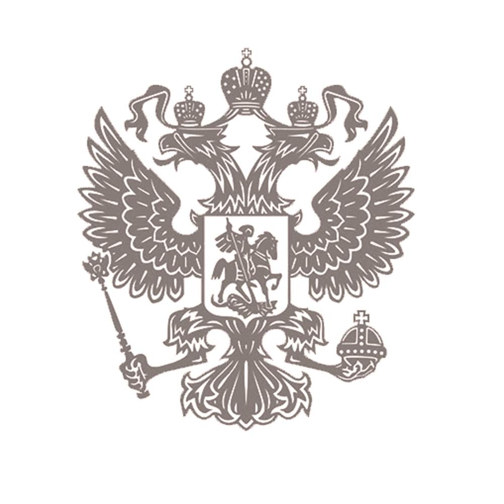 Coat of Arms of Russia Car Body Sticker Decal Russian Federation Eagle Emblem - Silver von Derkoly