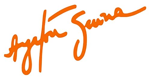 Desconocido Vinyl-Aufkleber, Signatur Ayrton Senna 10 x 5 cm (Orange) von Desconocido