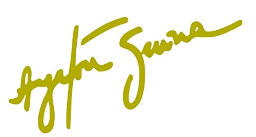 Desconocido Vinyl-Aufkleber, Unterschrift Ayrton Senna, 10 x 5 cm, goldfarben von Desconocido