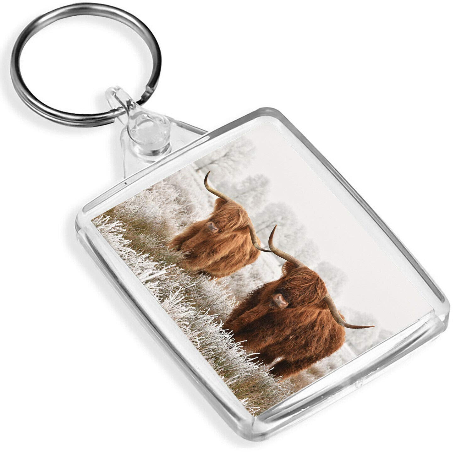 Destination Vinyl Keyrings Le Mucche Angus Gregge Selvaggio Portachiavi Winter Highlands Geschenk # 14591 Destination Vinyl Keyrings Le Mucche Angus Gregge Selvaggio Portachiavi Winter Highlands Geschenk # 14591 von Destination Vinyl Keyrings
