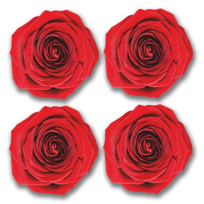4 x 10 cm Vinyl-Aufkleber Blumen Rote Rose Laptop Mülleimer Box Spiegel Car Surf #6285 (10 cm x 10 cm) von DestinationVinyl