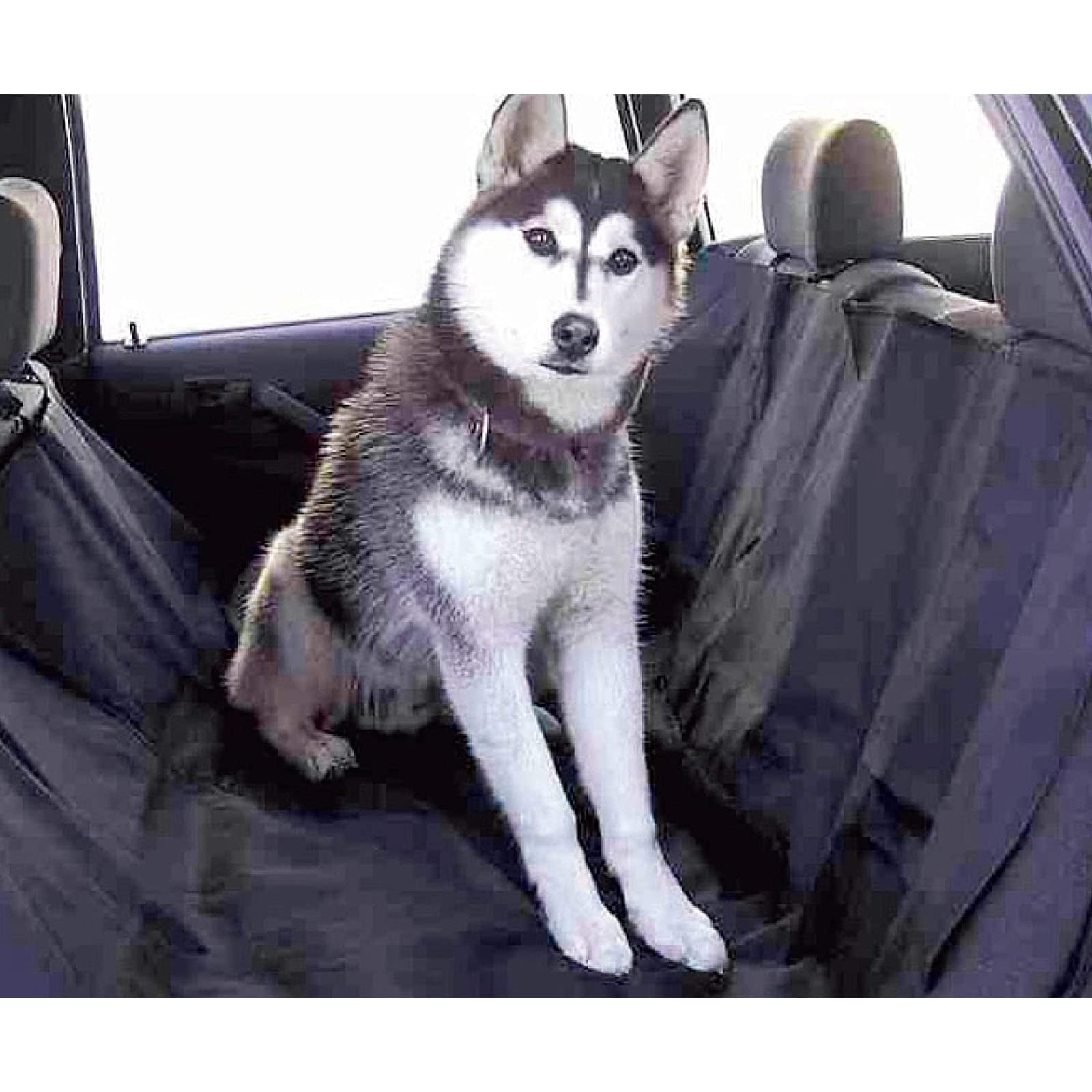 Diamond Car 2er Set Autoschondecke Hund 165 x 145 cm Hundedecke Wasserdicht & Kratzfest Sitzbezug Auto Rückbank Kofferraum Schutz für Haustier Diamond Car 2er Set Autoschondecke Hund 165 x 145 cm Hundedecke Wasserdicht & Kratzfest Sitzbezug Auto Rückbank Kofferraum Schutz für Haustier von Diamond Car