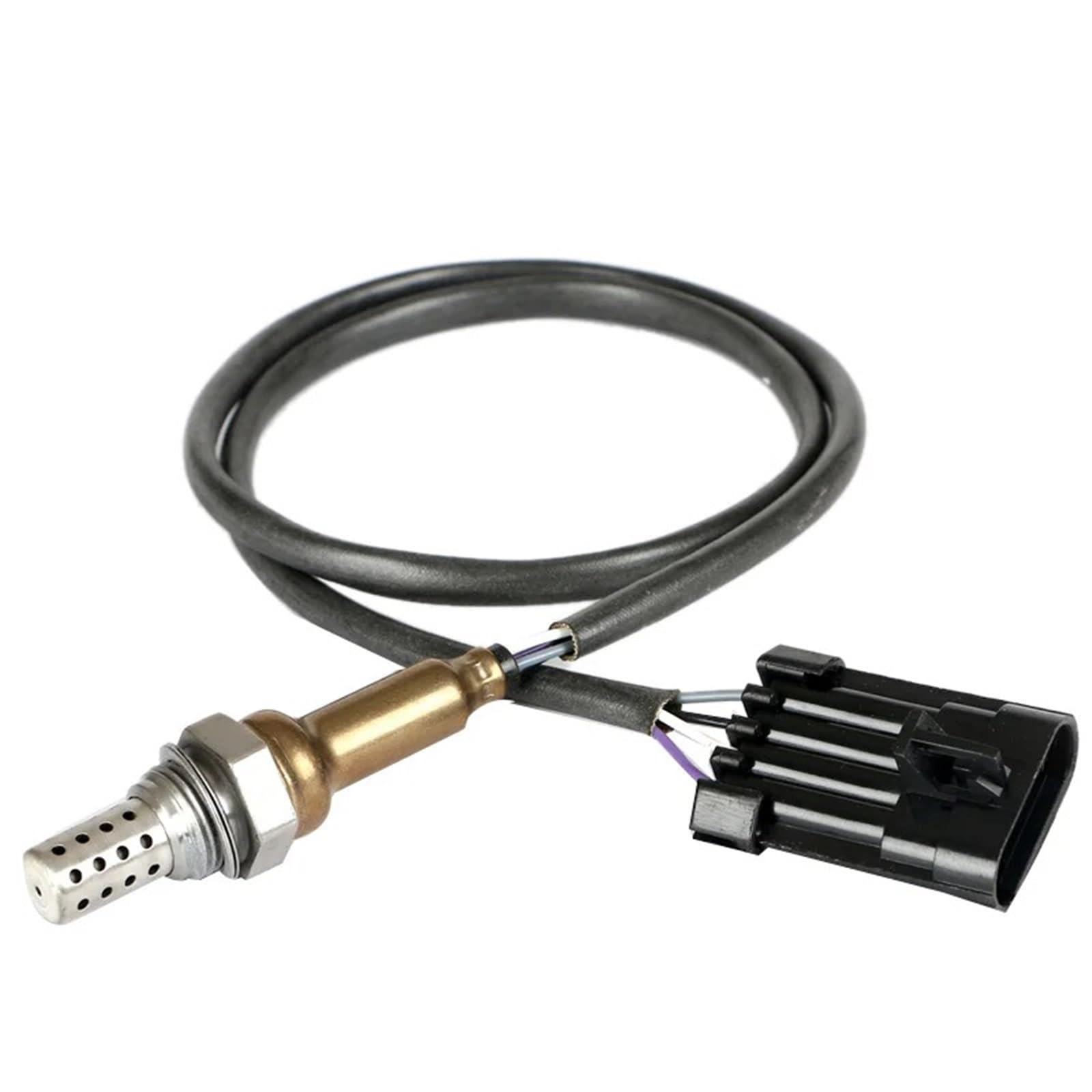 Lambdasensor Für Great Für Wall Für Hover H3 H5 H6 Für WINGLE 3 5 2005-2008 Sauerstoffsensor Lambdasonde 4-Leitung SMW250480 SMW250917 O2 Sensor Lambdasensor Für Great Für Wall Für Hover H3 H5 H6 Für WINGLE 3 5 2005-2008 Sauerstoffsensor Lambdasonde 4-Leitung SMW250480 SMW250917 O2 Sensor von Difmqf
