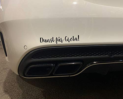 Dinger-Design Aufkleber Dunst für Greta Autoaufkleber Tuning Umwelt Sticker Bomb Feinstaub (Weiß) von Dinger-Design