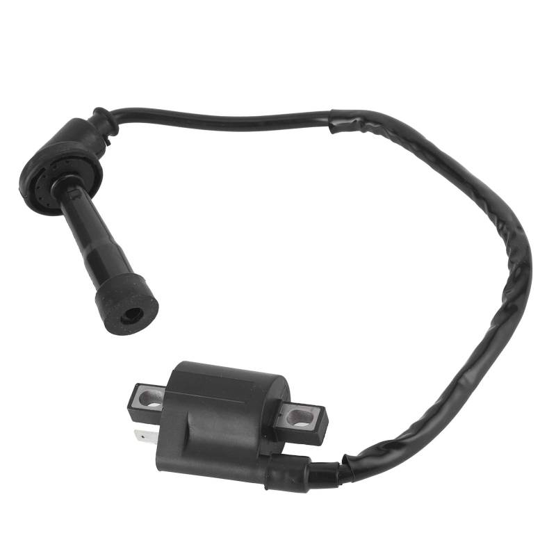 660 Zündspule，Dioche Zündspule Ersatz Fit für Grizzly 660 YFM660 2002 2003 2004 2005 2006 2007 2008 ATV Teile von Dioche