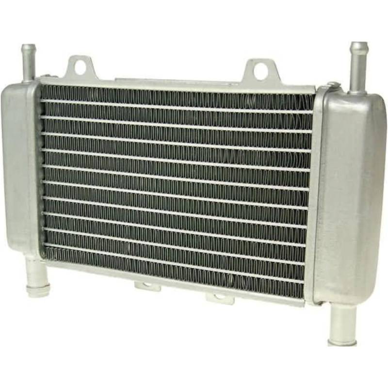 Diverse / import 13655 radiator kühler für gilera runner, dna, piaggio zip sp von Diverse / Import