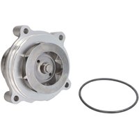 Kühlmittelpumpe DNJ WP4136 Kühlmittelpumpe DNJ WP4136 von Dnj
