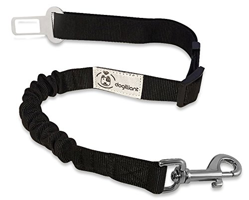 Hunde-Sicherheits-Gurt - Höchste SICHERHEIT FÜR HUND UND FAHRER durch elastische Ruckdämpfung - Stabiler universal Autogurt-Adapter für Hunde-Geschirr oder Halsband - Anschnallgurt für große und kleine Hunde - extra stabiler, hochwertiger Profi-Karabiner - Gratis-Ebook: Die 11 beliebtesten Hundespiele Hunde-Sicherheits-Gurt - Höchste SICHERHEIT FÜR HUND UND FAHRER durch elastische Ruckdämpfung - Stabiler universal Autogurt-Adapter für Hunde-Geschirr oder Halsband - Anschnallgurt für große und kleine Hunde - extra stabiler, hochwertiger Profi-Karabiner - Gratis-Ebook: Die 11 beliebtesten Hundespiele von Dogilliant