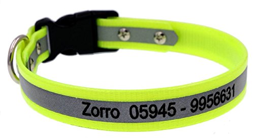 2,5cm Biothane Reflektionshalsband - Hundehalsband mit Name - Alle Farben und GrÃ¶ÃŸen von Dogs Stars