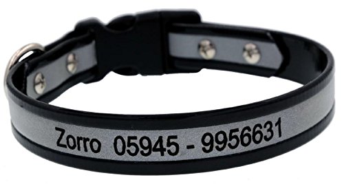2,5cm Biothane Reflektionshalsband - Hundehalsband mit Name - Alle Farben und GrÃ¶ÃŸen von Dogs Stars