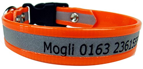 Biothane Reflektionshalsband mit verriegelbarem Klickverschluß - 2,5cm breit - Schwarz - Kostenlose Wunschgravur - Alle Größen und Farben Biothane Reflektionshalsband mit verriegelbarem Klickverschluß - 2,5cm breit - Schwarz - Kostenlose Wunschgravur - Alle Größen und Farben von Dogs Stars