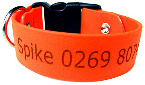 Halsband aus Biothane mit Klickverschluß - 1,9cm breit - Kostenlose Wunschgravur Halsband aus Biothane mit Klickverschluß - 1,9cm breit - Kostenlose Wunschgravur von Dogs Stars