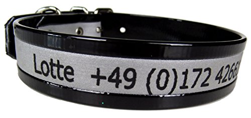 Halsband mit Metalschnalle 1,9cm breit - Mit Reflektion - Viele Farben - Wasserabweisend - Farbbeständig Halsband mit Metalschnalle 1,9cm breit - Mit Reflektion - Viele Farben - Wasserabweisend - Farbbeständig von Dogs Stars