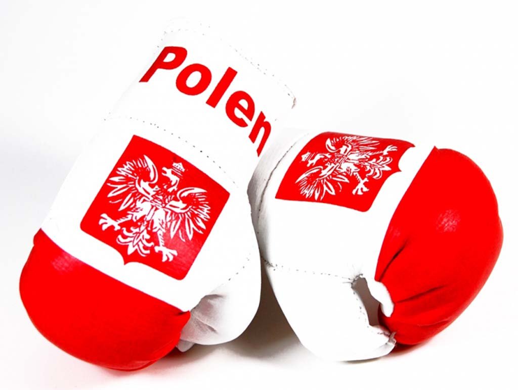 Doktor Hardstuff Mini Boxhandschuhe - Polen Doktor Hardstuff Mini Boxhandschuhe - Polen von Doktor Hardstuff