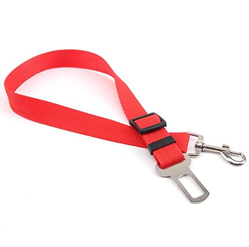 Dosige 1 Stück Haustier Sicherheitsgurt Haustier-Auto-Sicherheitsgurte Auto Sicherheitsgurt Anschnallgurt Haustier Hund Auto Träger Sicherheitsgurt Nylon 70*2.5CM (Rot) von Dosige