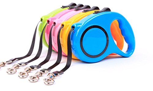 drasawee Große Flexible Hundeleine 5 m Pet Training Walking Leine Halsband einfach zu greifender Griff drasawee Große Flexible Hundeleine 5 m Pet Training Walking Leine Halsband einfach zu greifender Griff von Drasawee