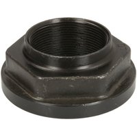 Achsmutter, Antriebswelle DT Spare Parts 6.56722 Achsmutter, Antriebswelle DT Spare Parts 6.56722 von Dt Spare Parts