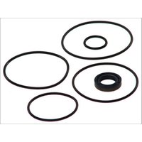 Hydraulikpumpe, Lenkung DT Spare Parts 4.90064 Hydraulikpumpe, Lenkung DT Spare Parts 4.90064 von Dt Spare Parts
