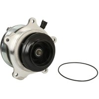 Kühlmittelpumpe DT Spare Parts 5.41139SP von Dt Spare Parts