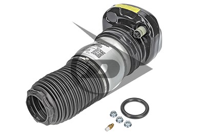 Dunlop Airsuspension Luftfeder, Fahrwerk [Hersteller-Nr. 71112] für BMW von Dunlop Airsuspension