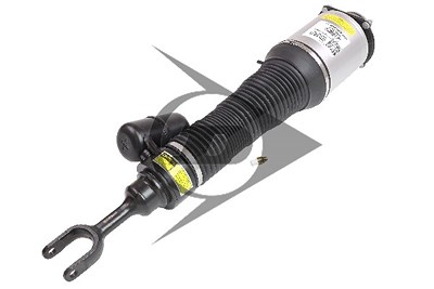 Dunlop Airsuspension Luftfederbein [Hersteller-Nr. 71072] für VW von Dunlop Airsuspension