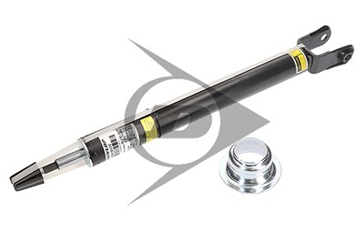 Dunlop Airsuspension Luftfederbein [Hersteller-Nr. 71441] für Jaguar von Dunlop Airsuspension