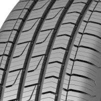 Dunlop Sport All Season (205/50 R17 93W) von Dunlop