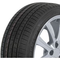 Ganzjahresreifen DUNLOP Sport All Season 165/70R14 81T Ganzjahresreifen DUNLOP Sport All Season 165/70R14 81T von Dunlop