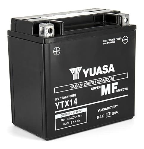 Batterie Yuasa YTX14-BS, gebrauchsfertig, kompatibel mit GS 1200 2008 2009 2010 2011 von E-BIKERS