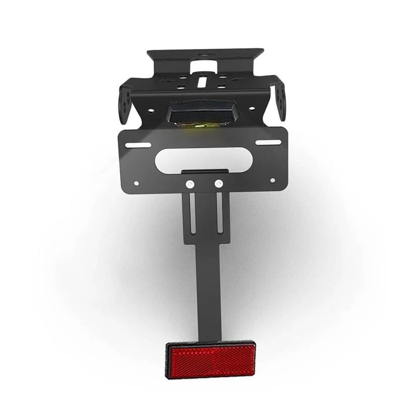 EASDTG Moto Rahmen Halter Kompatibel Mit Suzuki Für GSX-8S 2023 2024 Für GSX-8R 2024 Motorrad-Hinterer Kurzschwanzrahmen Rücklicht Kennzeichenhalter Mit Licht(C Black) von EASDTG