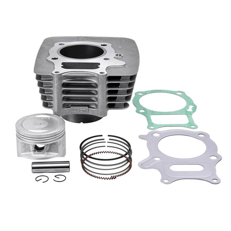 Motorrad-Motor-Ersatzteile for FOURTRAX 250 RECON Electric Shift TRX250 TEA-TEJ Motorrad-Zylinderkopf-Kolbenringe von ECFZTLAV