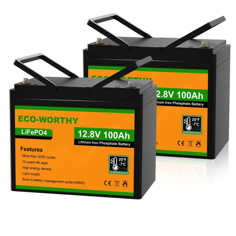 ECO-WORTHY LiFePO4 12V 200Ah Akku (2 Packungen LiFePO4 100 Ah),Lithium Batterie 12V mit über 3000 Mal Tiefzyklen und BMS Schutz für Wohnmobil, Camping, Solaranlage, Solarpanel Kit und Boot von ECO-WORTHY