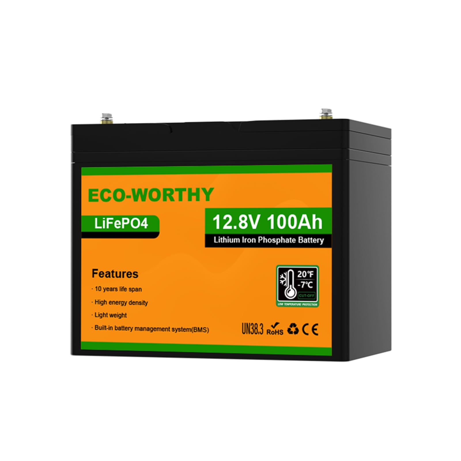 ECO-WORTHY Lithium Batterie 12v 100ah mit BMS Low Temperature Schutz und Max.15000 Zyklen, 1280Wh LiFePO4 100Ah 12V Autobatterie für Wohnmobil,Wohnwagen von ECO-WORTHY