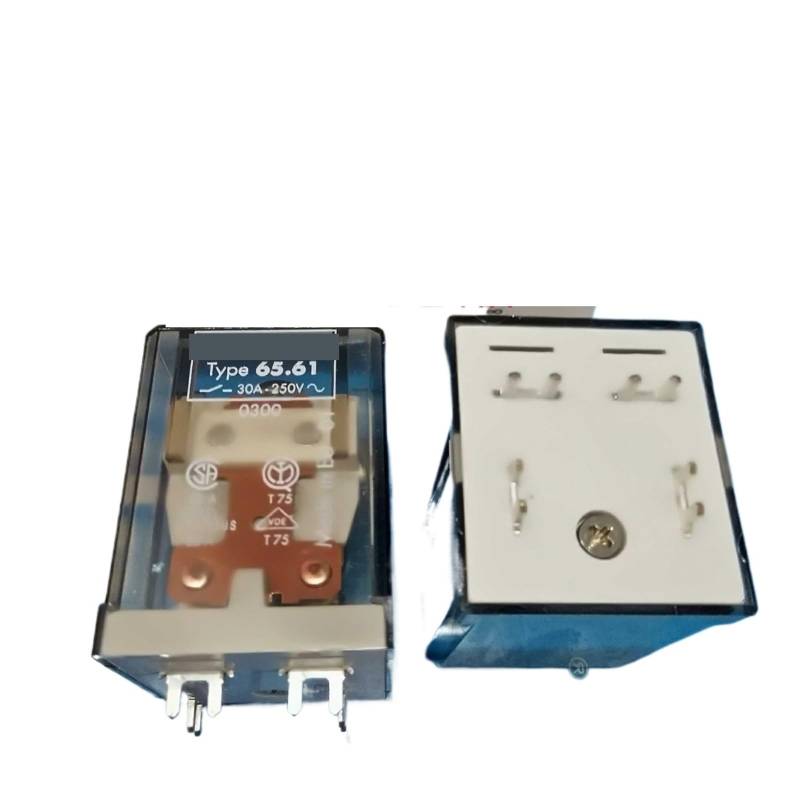 65,61 30A 250V 0300 65.61.9.024.0300 24VDC RELAY 1PCS EFDSVUHE von EFDSVUHE
