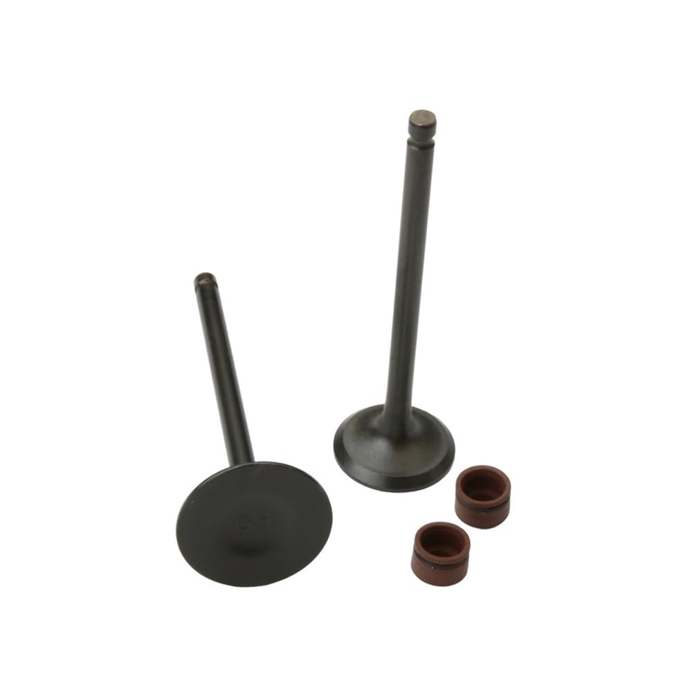 Einlass- und Auslassventile, kompatibel mit 125-cm³-Viertaktmotormodellen 14711-KGH-900 14721-KGH-900 Kompatibel mit CBR125 Sonic-Motorräder Einlass- und Auslassventile, kompatibel mit 125-cm³-Viertaktmotormodellen 14711-KGH-900 14721-KGH-900 Kompatibel mit CBR125 Sonic-Motorräder von EGRMZ