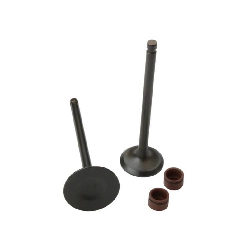 Einlass- und Auslassventile, kompatibel mit 125-cm³-Viertaktmotormodellen 14711-KGH-900 14721-KGH-900 Kompatibel mit CBR125 Sonic-Motorräder von EGRMZ
