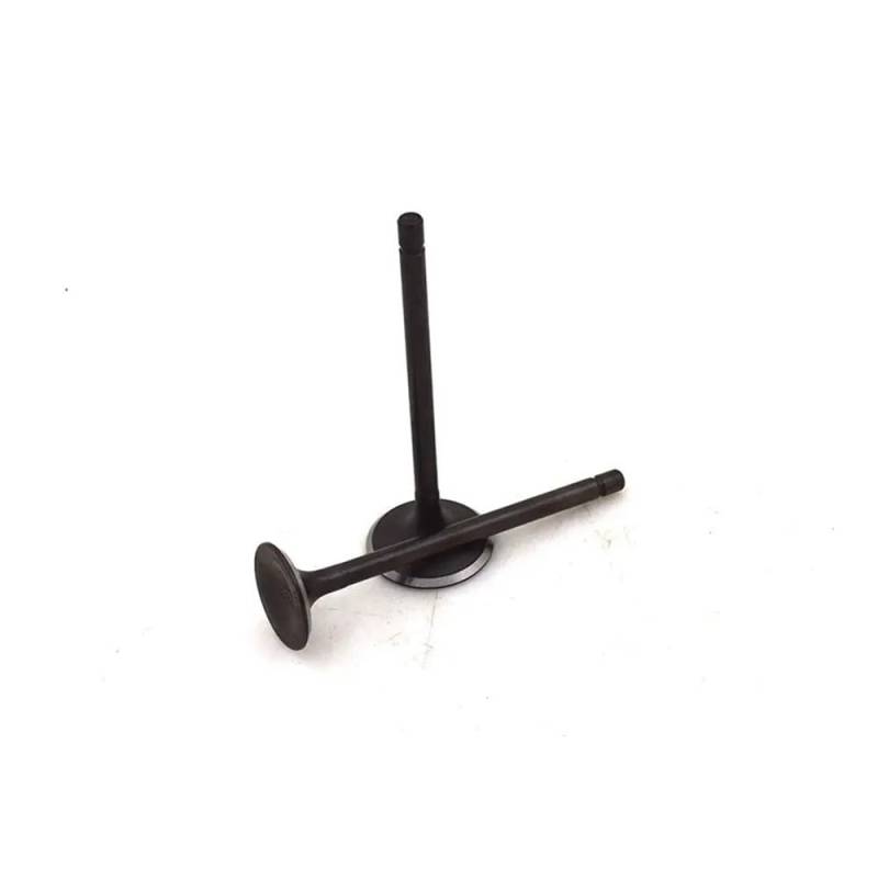 Einlass- und Auslassventilschaft Kompatibel mit Motorradmotoren, kompatibel mit dem Modell CH 125 von 1984 bis 1996, 125 von 1984(HIGH QUALITY VALVE) von EGRMZ