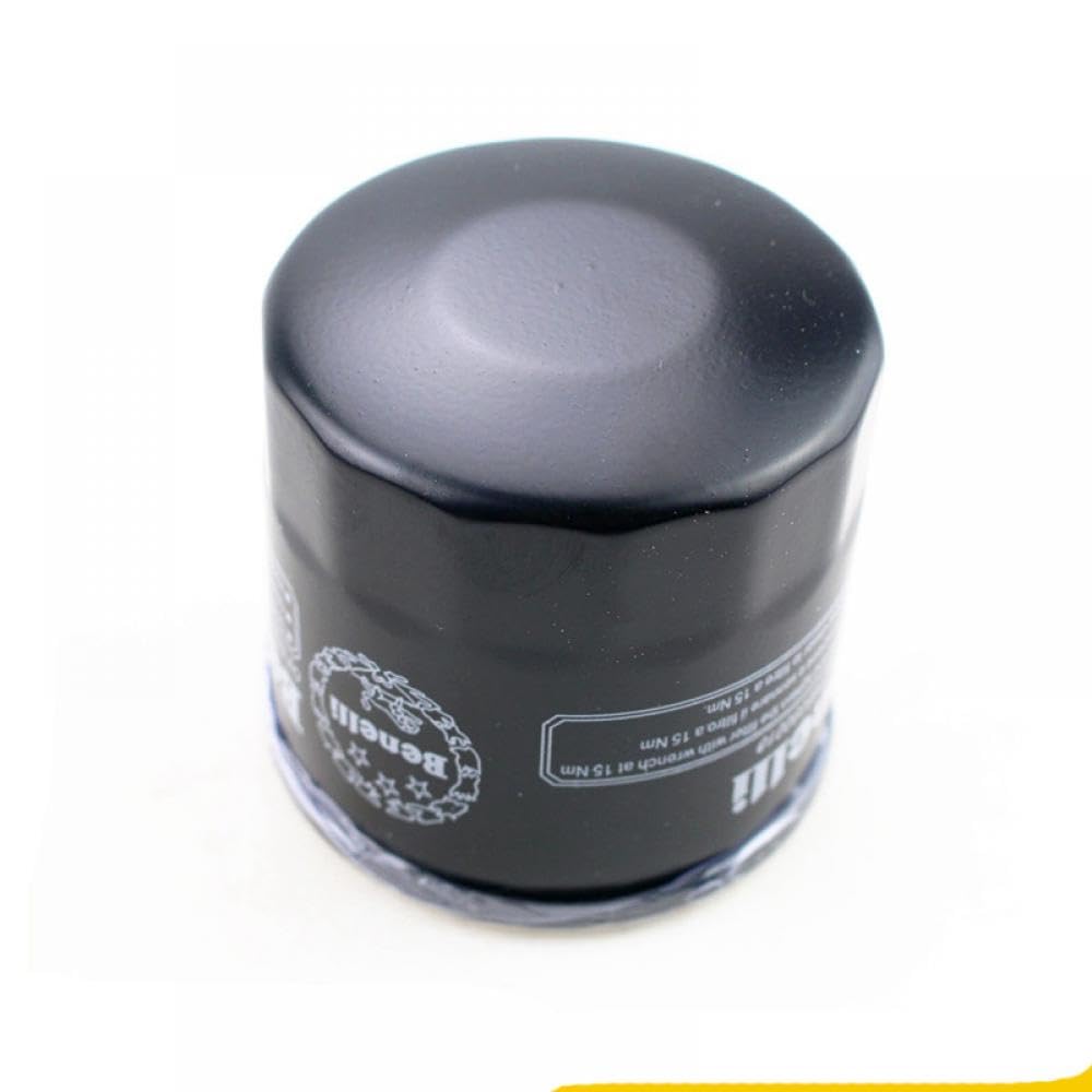 Motorrad-Ölgitterfilter, kompatibel mit BN302 600 TNT300 600 STELS300 600 Keeway RK6 RKX 300 BN TNT 300 Motorölfilter Motorrad-Ölgitterfilter, kompatibel mit BN302 600 TNT300 600 STELS300 600 Keeway RK6 RKX 300 BN TNT 300 Motorölfilter von EGRMZ