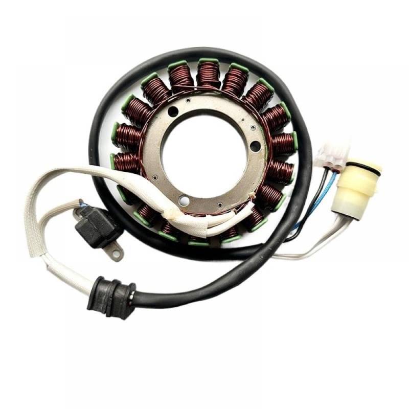 Stator kompatibel mit Hisun ATV 500 700 Quad Magneto Kompatibel mit HS500ATV HS500ATV UTV HS500UTV HS700UTV Teile 31120-004-0000 31100-F39-004-0000 von EGRMZ